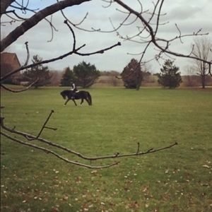 Away we go roller for @tinygem